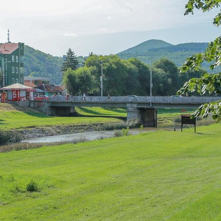 Apartman Marija Apartment Pirot Bagian luar foto